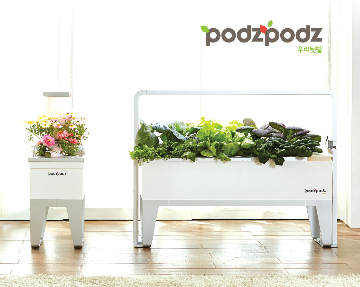 podzpodz Branding